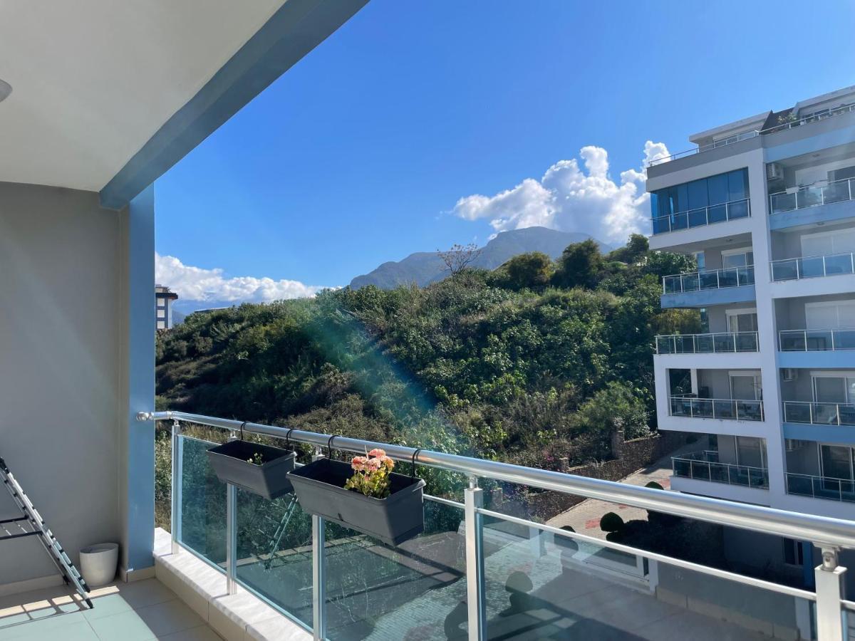 Apartament Aura Blue *